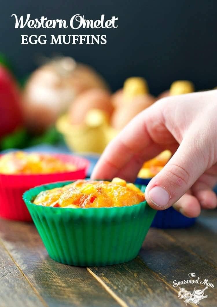 Doiaz Silicone Bento Lunch Box Dividers 3 Shapes of Standard Round & Square & Rectangle - Reusable Silicone Cupcake Liners Non-Stick Muffin Cups for Baking