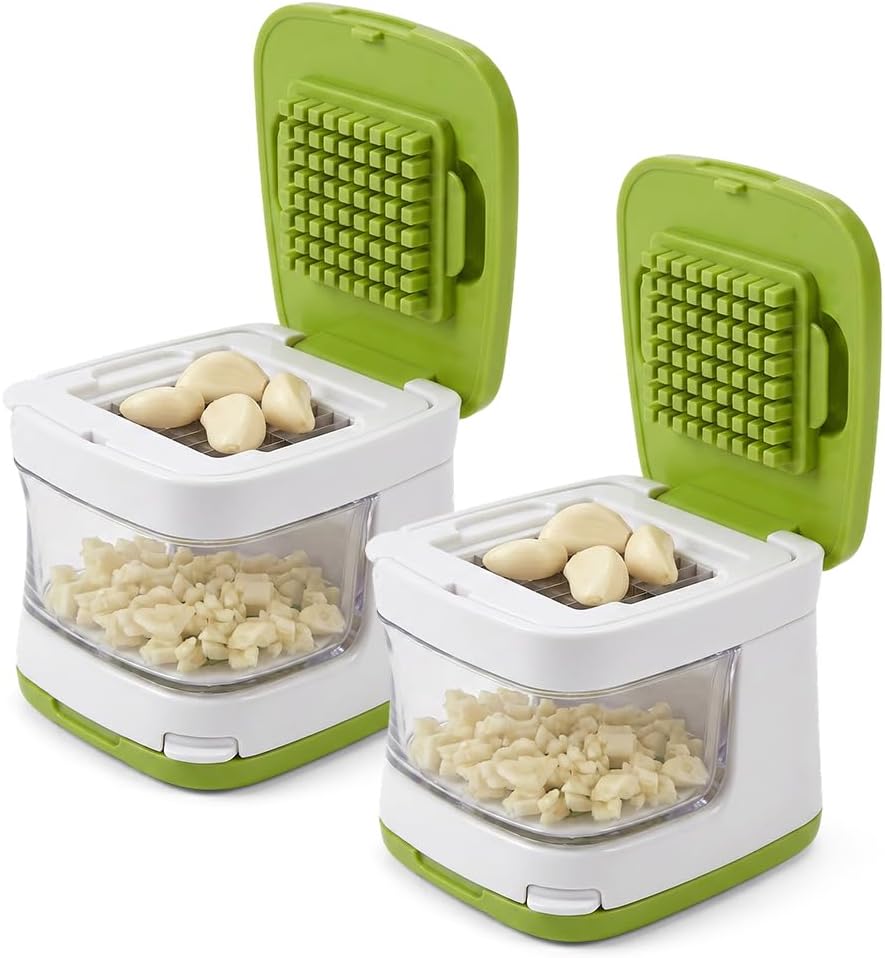 Mini Garlic Chopper and Press with Container