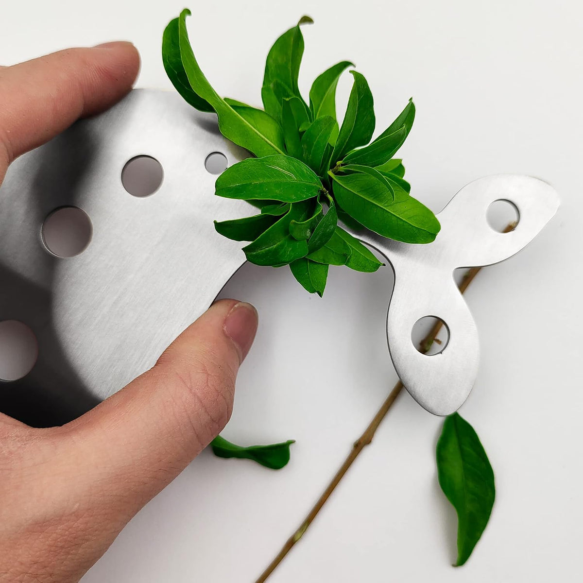 Stainless Steel Herb Stripper, 10-Hole Leaf Stripper Tool, 1 PC