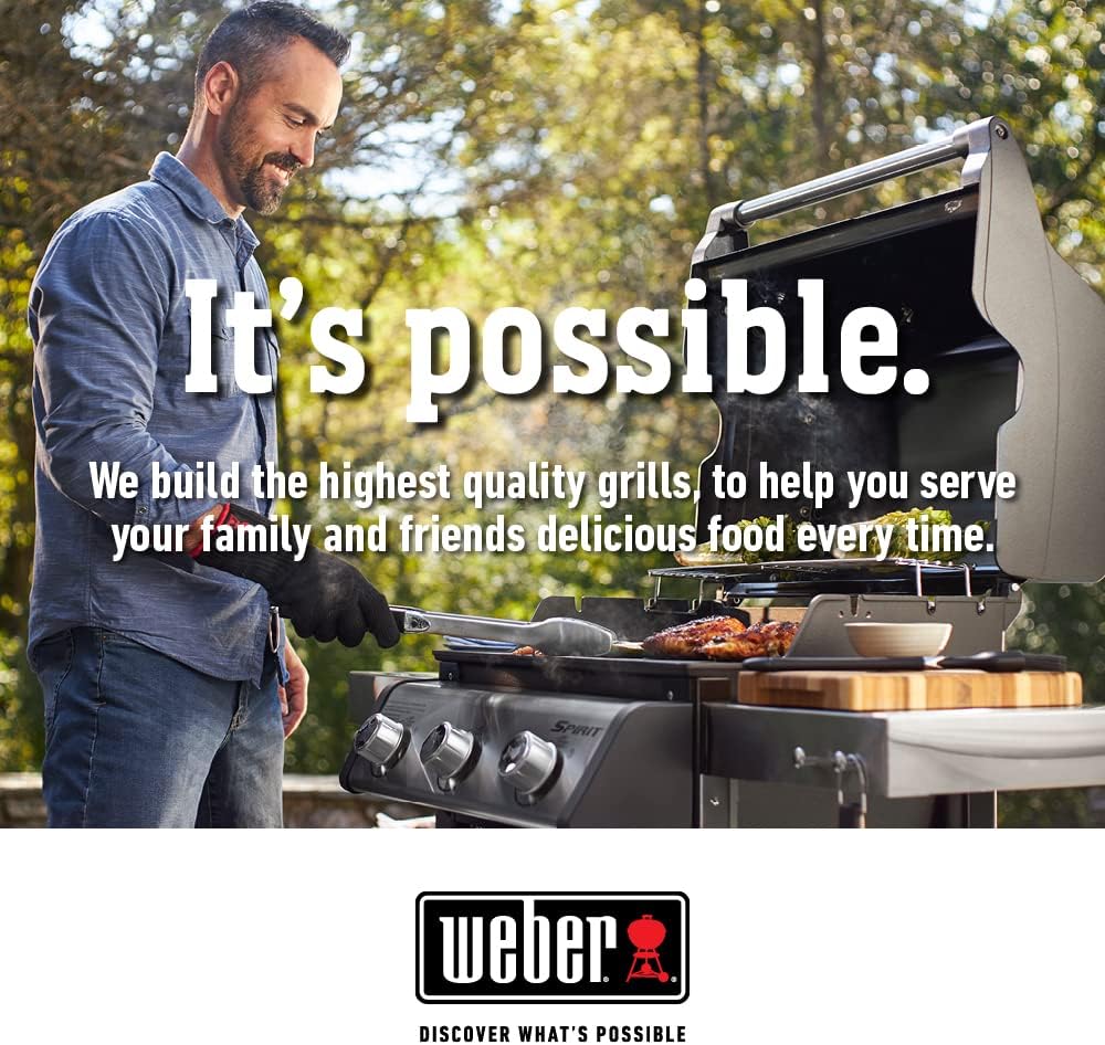 Weber Stainless Steel Polish 12oz – Cleans, Polishes & Protects Stainless Steel Surfaces with Fresh Citrus Scent