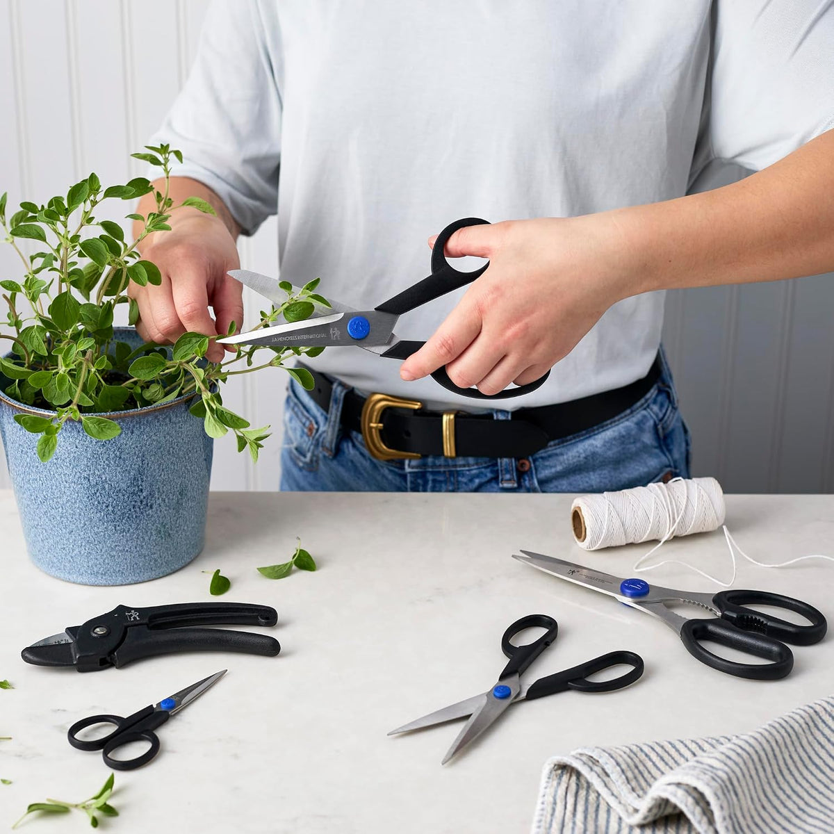 Henckels Kitchen Shears for Herbs, 2-pc, Dishwasher Safe, Heavy Duty, Stainless Steel, Take A Part Shears