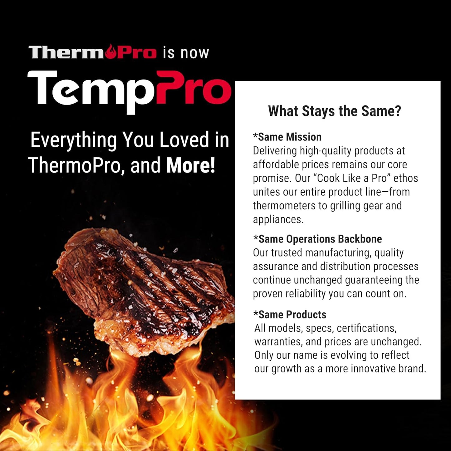 TempPro BBQ Grill Brush with Wide Scraper, Bristle-Free Stainless Steel Grilling Cleaner, Safe All-Grate Cleaner, Perfect for BBQ Grill Cleaning Accessory (Previously ThermoPro)