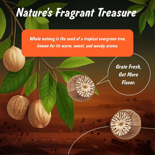 Spice Profile Organic Whole Nutmeg | 3.5 oz | Lab Tested
