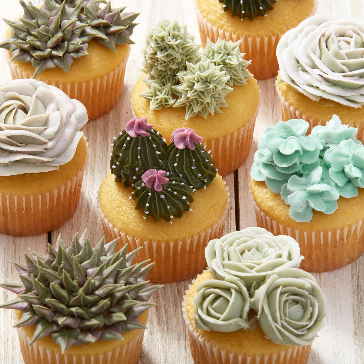 Wilton Master Cake Decorating Piping Tips Set, with Case