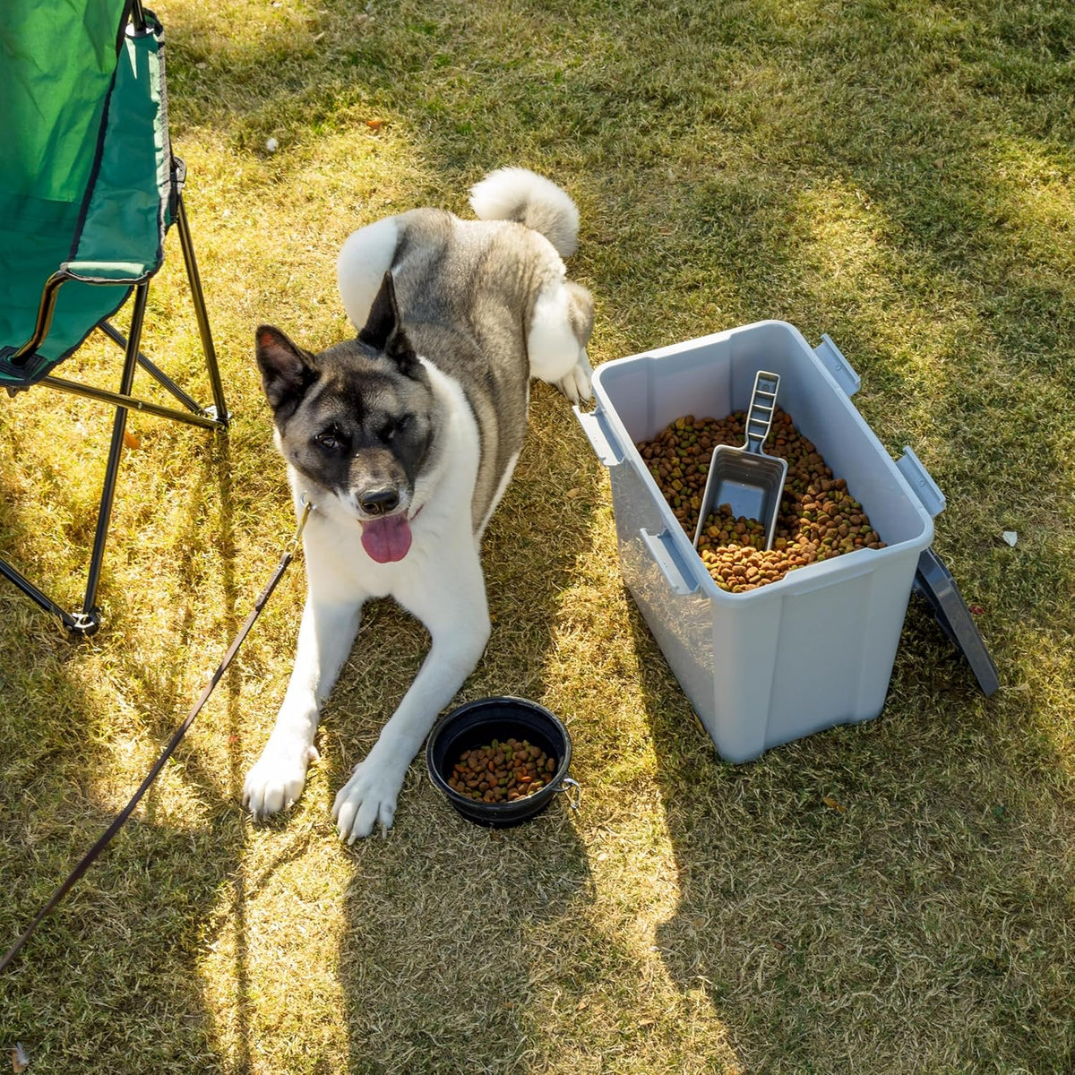 IRIS USA Stackable Dog Food Storage Container with 2 Cup Scoop, 4 Secure Latches, Fits up to 30 lbs, Pet Dry Food Bin, Gasket Seal Lid, BPA Free, Stackable, Easy Measure, White