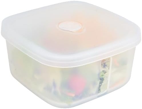 OTB Set of 2 Reusable Silicone Containers Clear, Nesting Leak-free Silicone Food Storage Boxes, BPA Free, Airtight, Dishwasher and Freezer Safe
