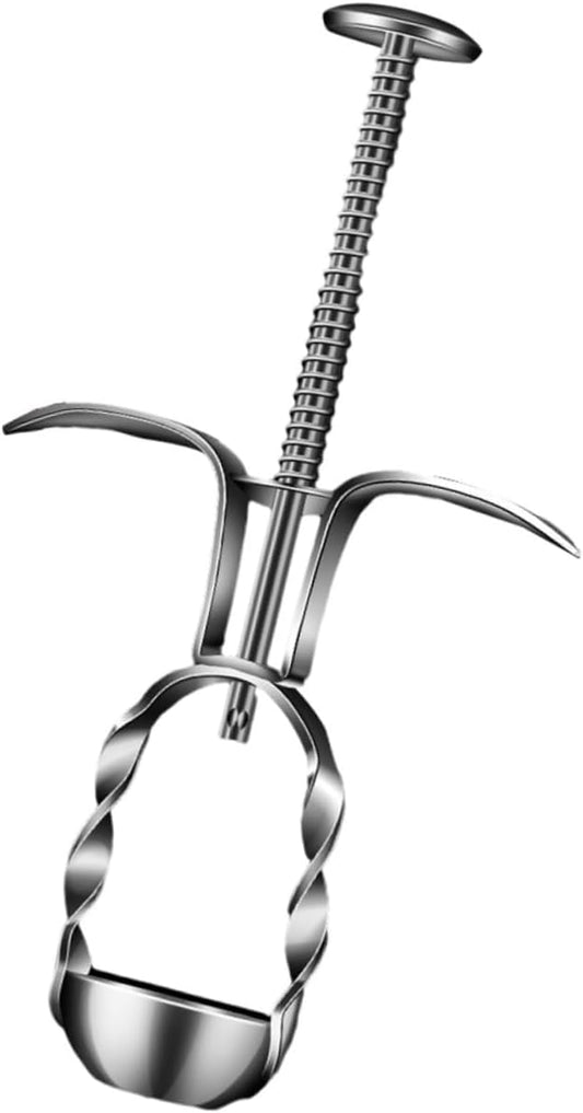 304 Stainless Steel Jujube Pitter Tool Multi-Functional Cherry Core Remover for Home Kitchen Portable Red Date Pitter Comfortable to Hold Handle Large Jujubes