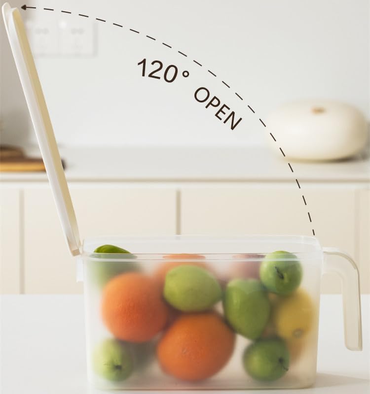 MineSign 2 Pack Plastic Divided Veggie Storage Containers with Lids and Handles for Fridge Storage Organizer Boxes for Refrigerator Produce Beans Fruits Organzation