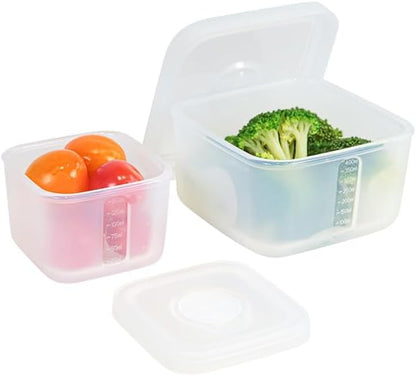 OTB Set of 2 Reusable Silicone Containers Clear, Nesting Leak-free Silicone Food Storage Boxes, BPA Free, Airtight, Dishwasher and Freezer Safe