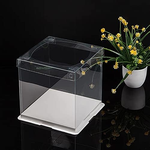 XININSUN 2Pcs Large Cake PET Clear Box, 10" X 10" X 9" with ribbon and pre-folded lid, for 8" cake packing carry, baking cookie display, Carry Tall Layer Gift, Festive Gift Box -White