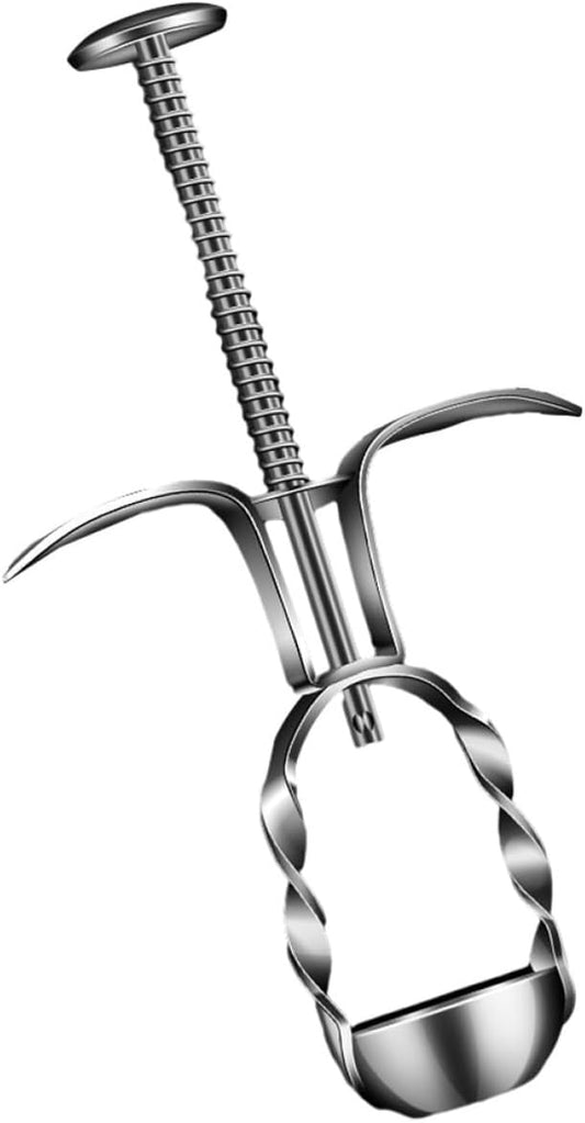 Stainless Steel Cherry Pitter Tool, Handheld Fruit Corer Remover