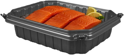 Ultra-Cold Freezer Containers, Frozen Meal Prep Storage with Lids | (-30°C/-22°F), Microwave & Freezer-Safe, Perfect for Frozen Meat, Seafood and Hot Meals, 10" x 8.2" x 3.7", 10 Packs