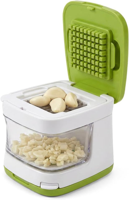 Mini Garlic Chopper and Press with Container