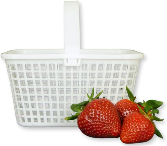 12 Pack – Small Plastic Basket with Handle for Produce Display, Harvesting Fruits and Vegetables, Party Décor, or Organization