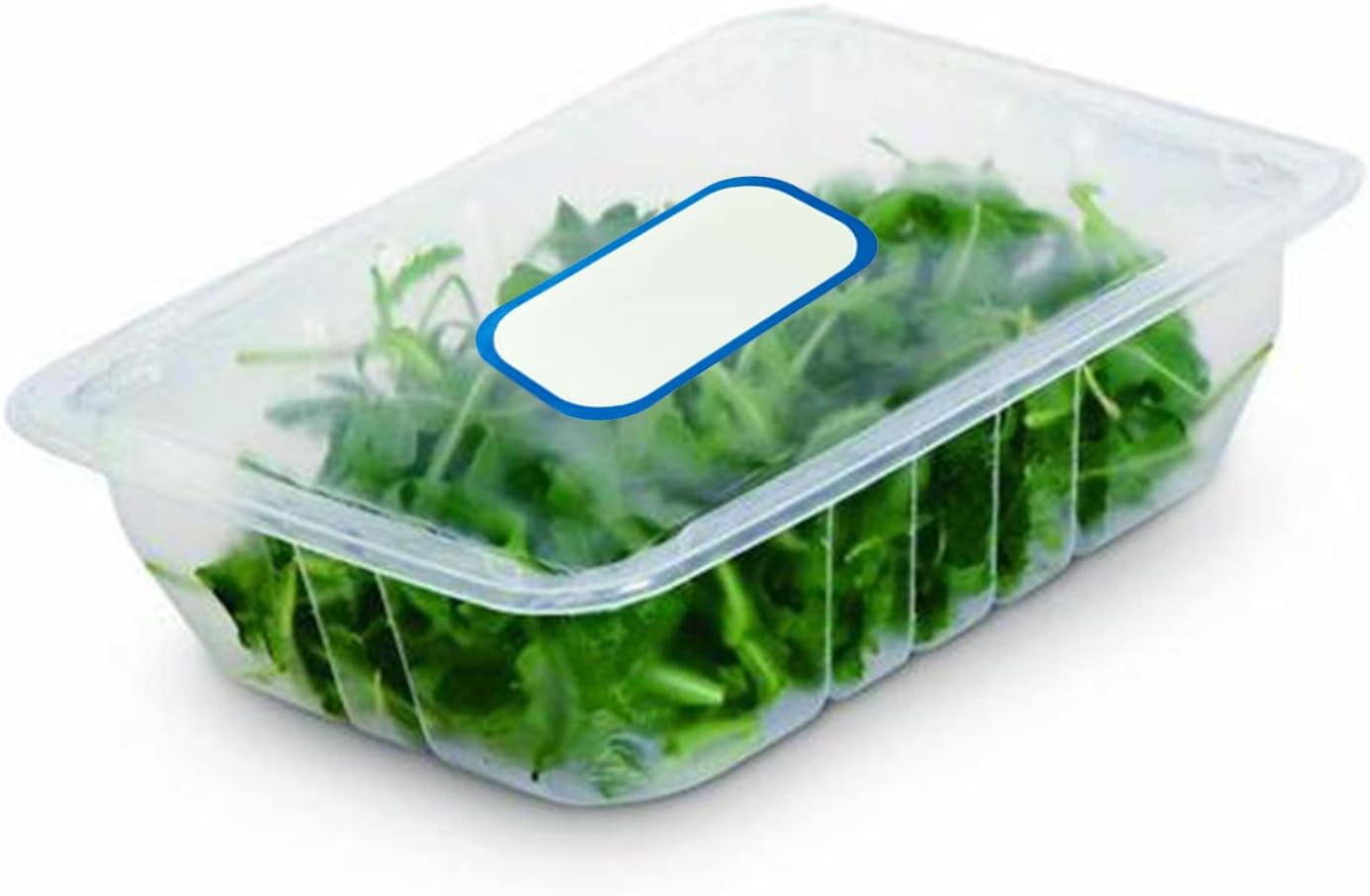 300Pcs Sticky Food Dates Labels Blank Stickers Easily Identify for Glass Jars Cans Bottles Home Restaurant Use Food Stickers for Water Bottles Waterproof Food Stickers for Kids Healthy Foods