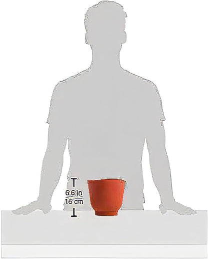 Norpro Silicone Bowl Set 3 Piece Red 1019R