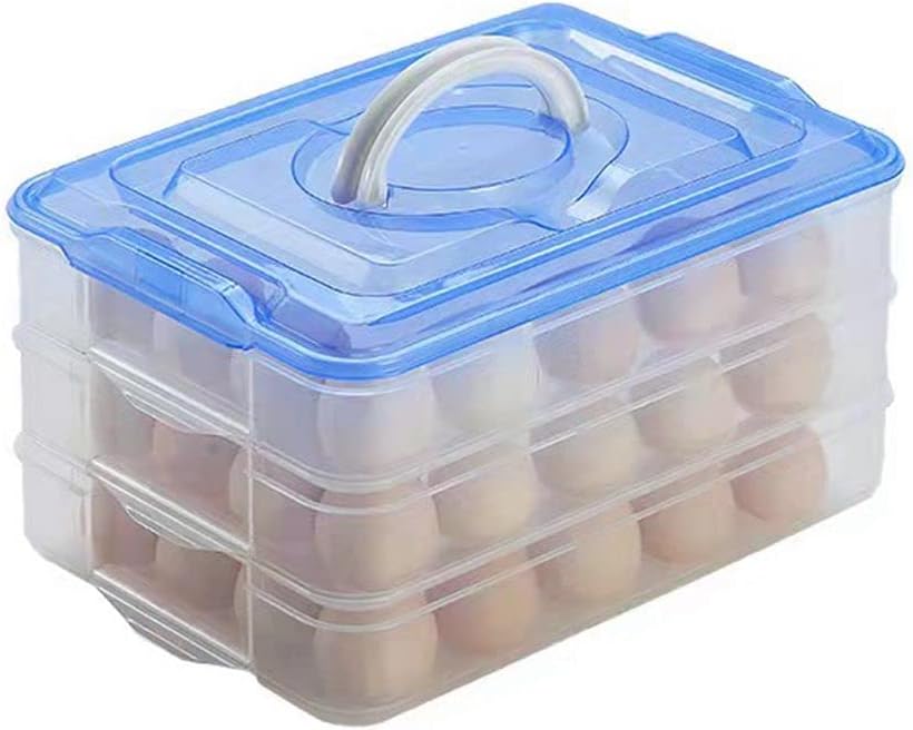 Deviled Egg Tray with Lid, 2-Layer, Stackable Egg Carrier Holder for Refrigerator, Camping Food Storage Container with Handle, Large, 40 eggs(transparent)