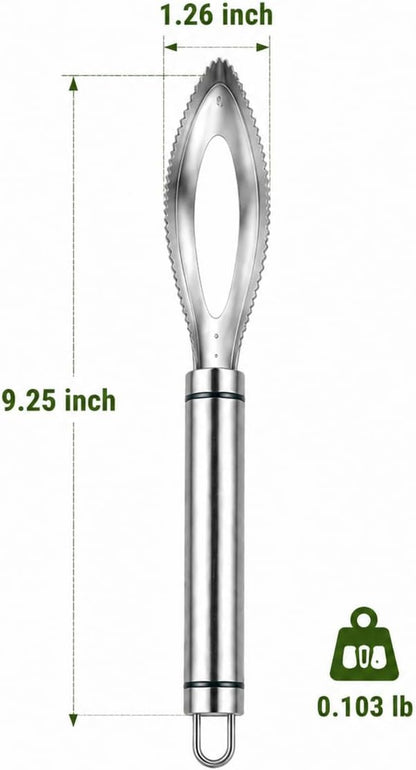 2-Pack Large Fish Scraper, 304 Stainless Steel Fish Scaler, Non-Slip Handle