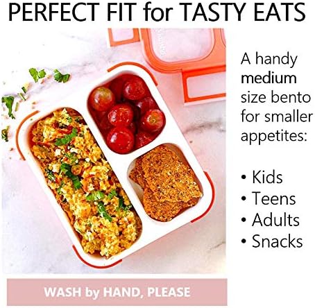 kinsho Medium Bento Boxes for Kids, Lunch Box for Boys Girls Toddler Adults, Leak-Proof 3 Compartment Containers for Meal or Snack at School Daycare Work Travel, BPA Free 2 Pack (Pastel Blue + Pink)