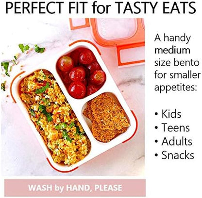 kinsho Medium Bento Boxes for Kids, Lunch Box for Boys Girls Toddler Adults, Leak-Proof 3 Compartment Containers for Meal or Snack at School Daycare Work Travel, BPA Free 2 Pack (Pastel Blue + Pink)