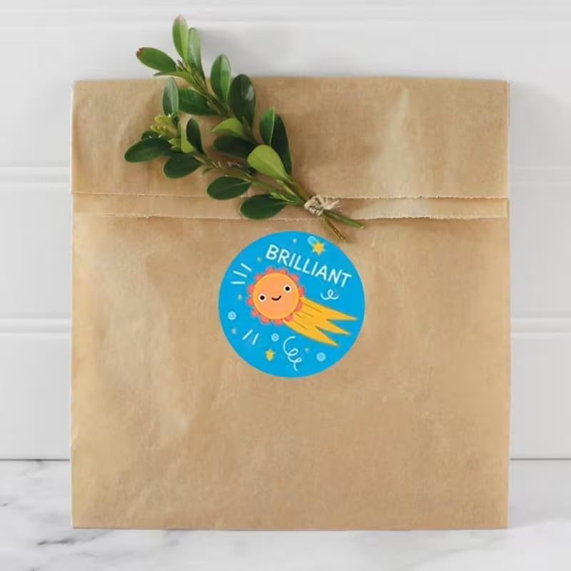 100-Pack Removable Freezer Labels, Waterproof Food Storage Stickers for Date & Contents Marking - Colors B