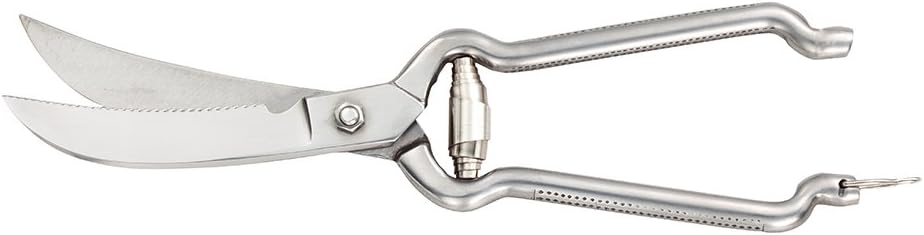 Mercer Culinary Forged Poultry Shears, 9.5 Inch