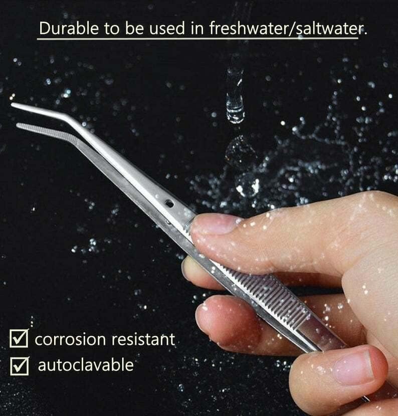 6 Inch Professional Culinary Stainless Steel Precision Tongs with Angled Serrated Tips, Plating/Food Presentation Detailing Serving Tongs, Chef's Kitchen Tweezer Tongs - Ultra Non-Slip Grip