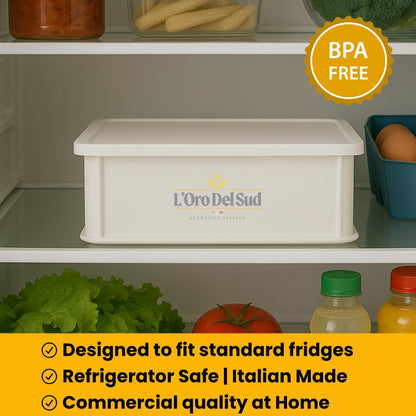 L'Oro Del Sud Home Refrigerator Size, Dough Proofing Tray (+ 1 Lid)