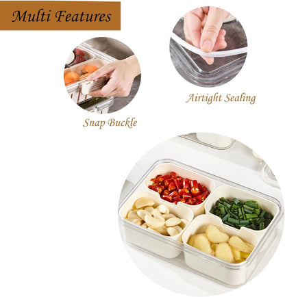 Divided Clear Snack Serving Tray with Lid & Handle, Snackle Box Charcuterie Board Container Storage Organizer for Fruit, Candy, Veggie, Nuts & Snacks, Perfect for Party, Travel, & Picnic