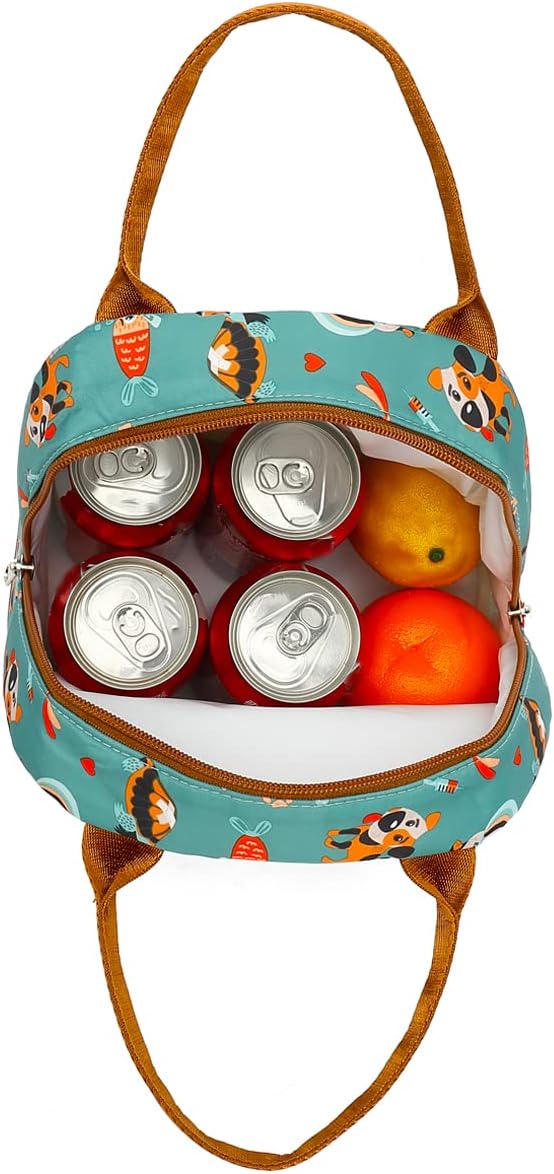 FlowFly Insulated Lunch Cooler Bag - Tote Bag Organizer for Women/Men, Black - Colors A