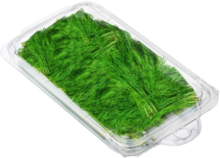Smygoods Plastic Clamshell Food Containers, (Pack of 50-8x8x3 3/8) 3-Compartment, to go Containers, Hinged Food Container