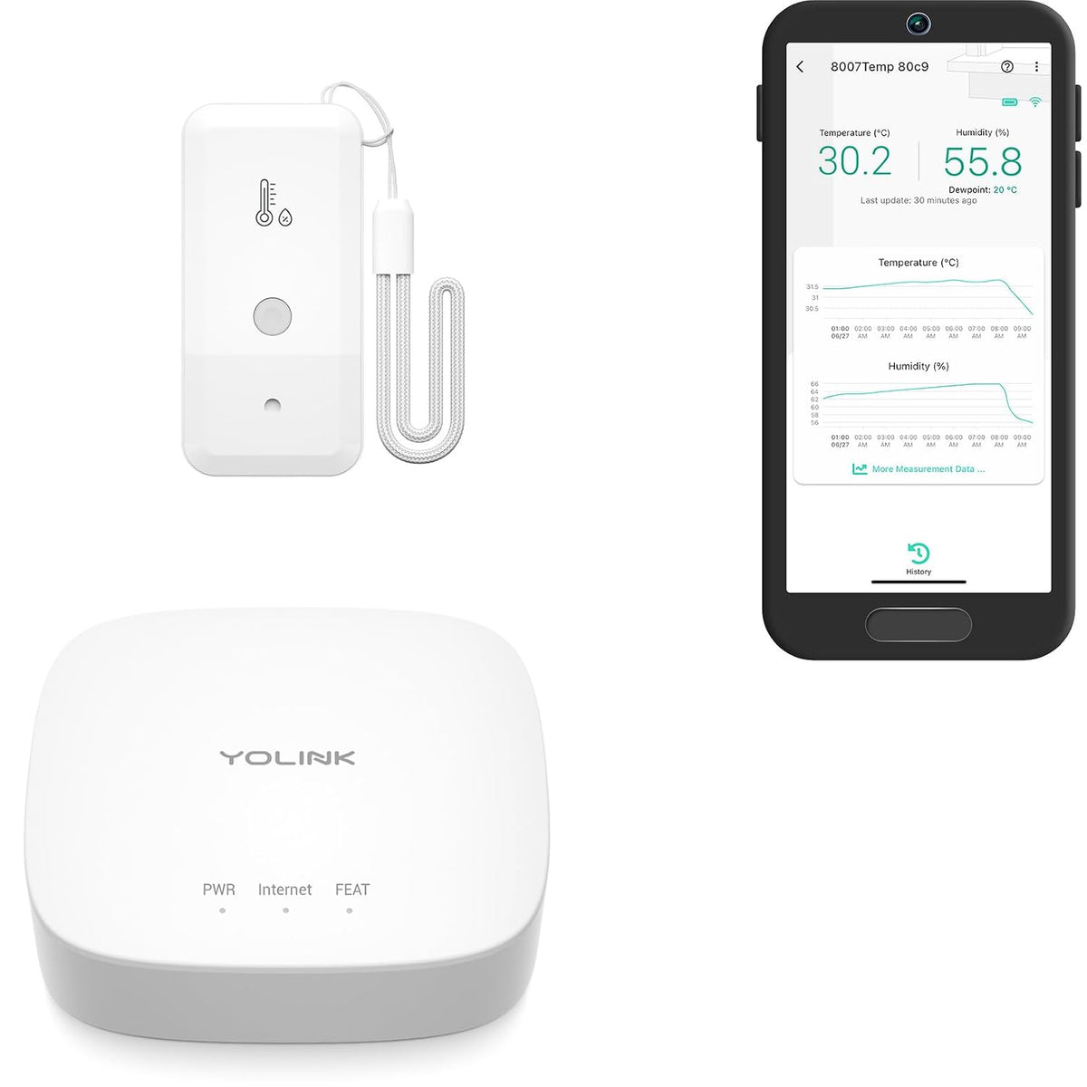 YoLink Freezer Thermometer Hygrometer Kit: + Hub