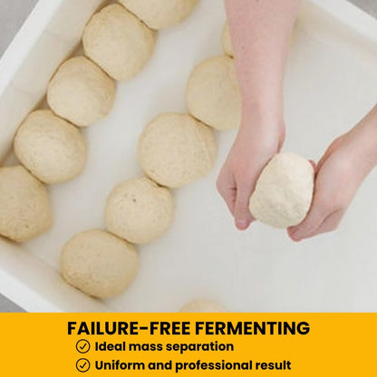 L'Oro Del Sud Home Refrigerator Size, Dough Proofing Tray (+ 1 Lid)