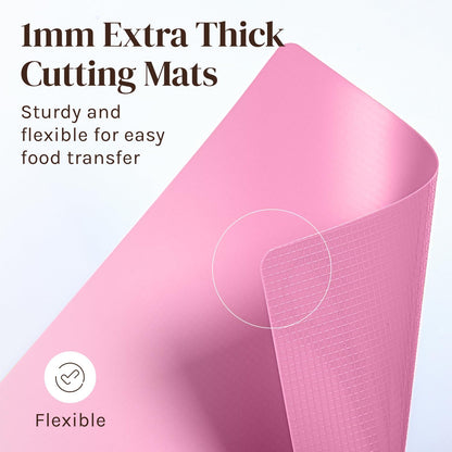 Extra Thick Flexible Plastic Cutting Board Mats, Set of 6 for Kitchen, BPA Free, Non-Slip Waffle Back, Dishwasher Safe Cutting Boards, Color Coded with Food Icons, 15x12 Inch - Cooler Kitchen