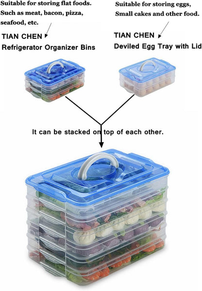 Deviled Egg Tray with Lid, 2-Layer, Stackable Egg Carrier Holder for Refrigerator, Camping Food Storage Container with Handle, Large, 40 eggs(transparent)