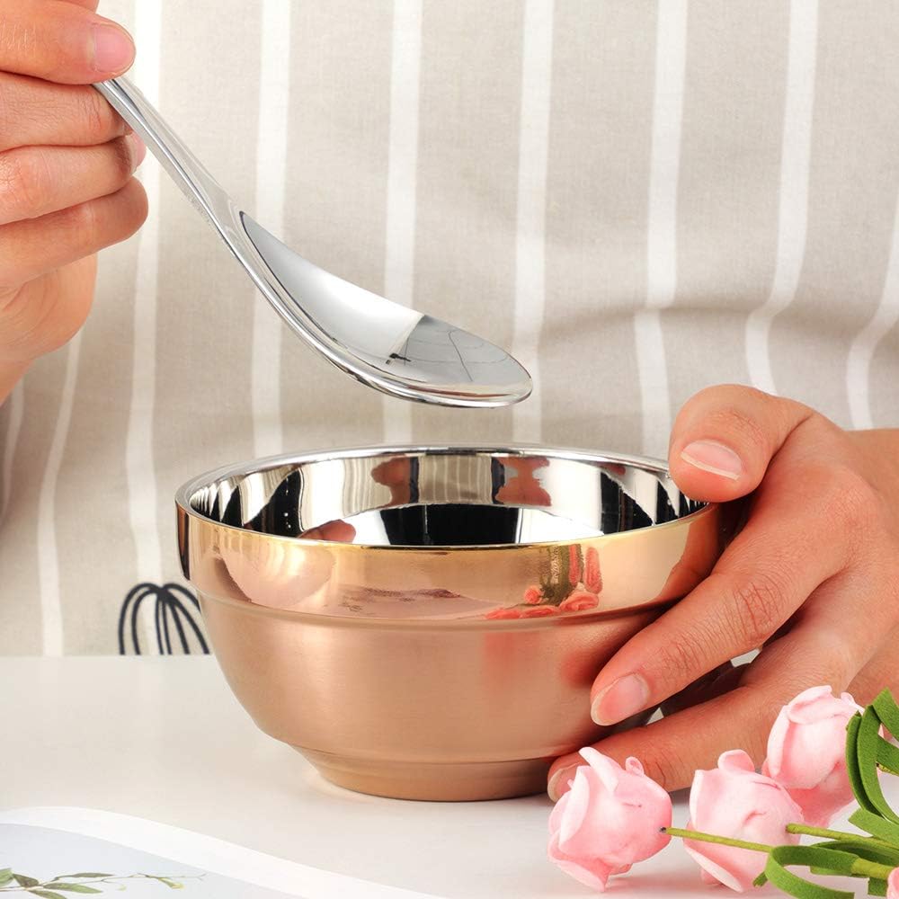 Stainless Steel Bowl Set: 500 ml Cereal Bowl, Set of 10 with Gift Box Included. Double Walled Insulated & Dishwasher Safe, Durable Deep Soup Bowl, Suitable for Home Kitchen & Child (Silver)