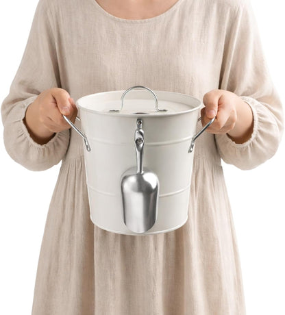 4L Ice Bucket, Double Wall Metal Wine Chiller Bucket, including Thermometer, Lid, Scoop and Plastic Liner, Large Beverage Tub Ice Holder for Wine, Champagne, Cocktail Party Bar