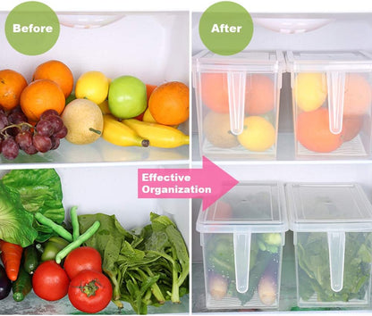 SILIVO Snackle Box Container - 9 Compartment Portable Divided Serving Tray with Lid and Handle,Clear Snack Organizer for Candy, Fruits, Nuts, Snacks - Perfect for Party, Travel and Entertaining