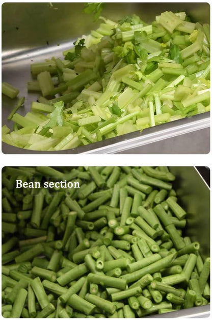 Green Onion Celery Parsley Cutter Chopper Cabbage Chilli Pepper Shredding Cutting Machine Vegetable and Fruit Slicing Machine