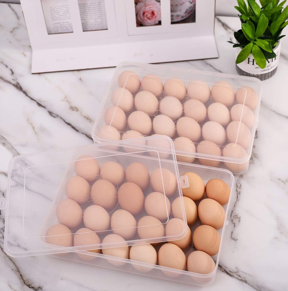 Sooyee 2 Pack Covered Egg Holders for Refrigerator,Clear 2X24 Deviled Egg Tray Storage Box Dispenser,Stackable Plastic Egg Cartons,Egg Holder Countertop(48 Eggs)