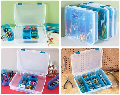 STERILITE Divided Case, Multicolor