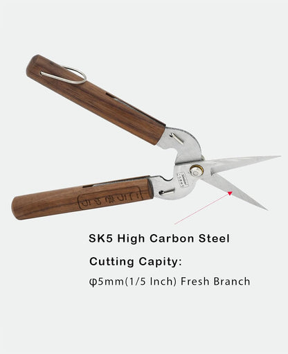 Razor Sharp Pruning Shears for Gardening, Garden Shears Carbon Steel Blade, Precision garden scissors Walnut Wood handle, 6.8” Garden Snips for Trimming Fruits, Vegetables, Flowers, Buds, Bonsai