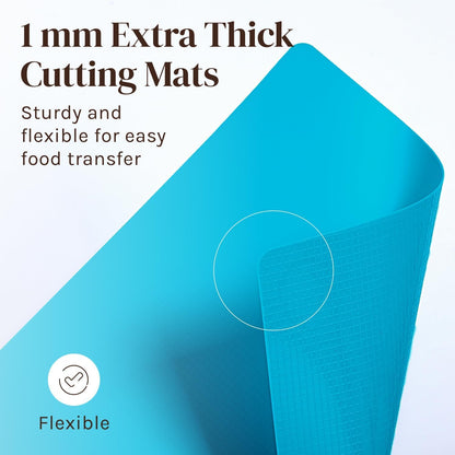 Extra Thick Flexible Plastic Cutting Board Mats, Set of 6 for Kitchen, BPA Free, Non-Slip Waffle Back, Dishwasher Safe Cutting Boards, Color Coded with Food Icons, 15x12 Inch - Cooler Kitchen