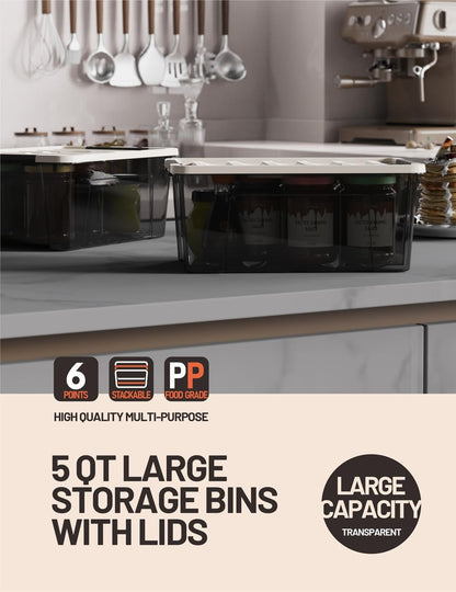 WYT Clear Storage Latch Bins, 6-Pack Storage Organizer Box with Handle and Lids, 5-Litre