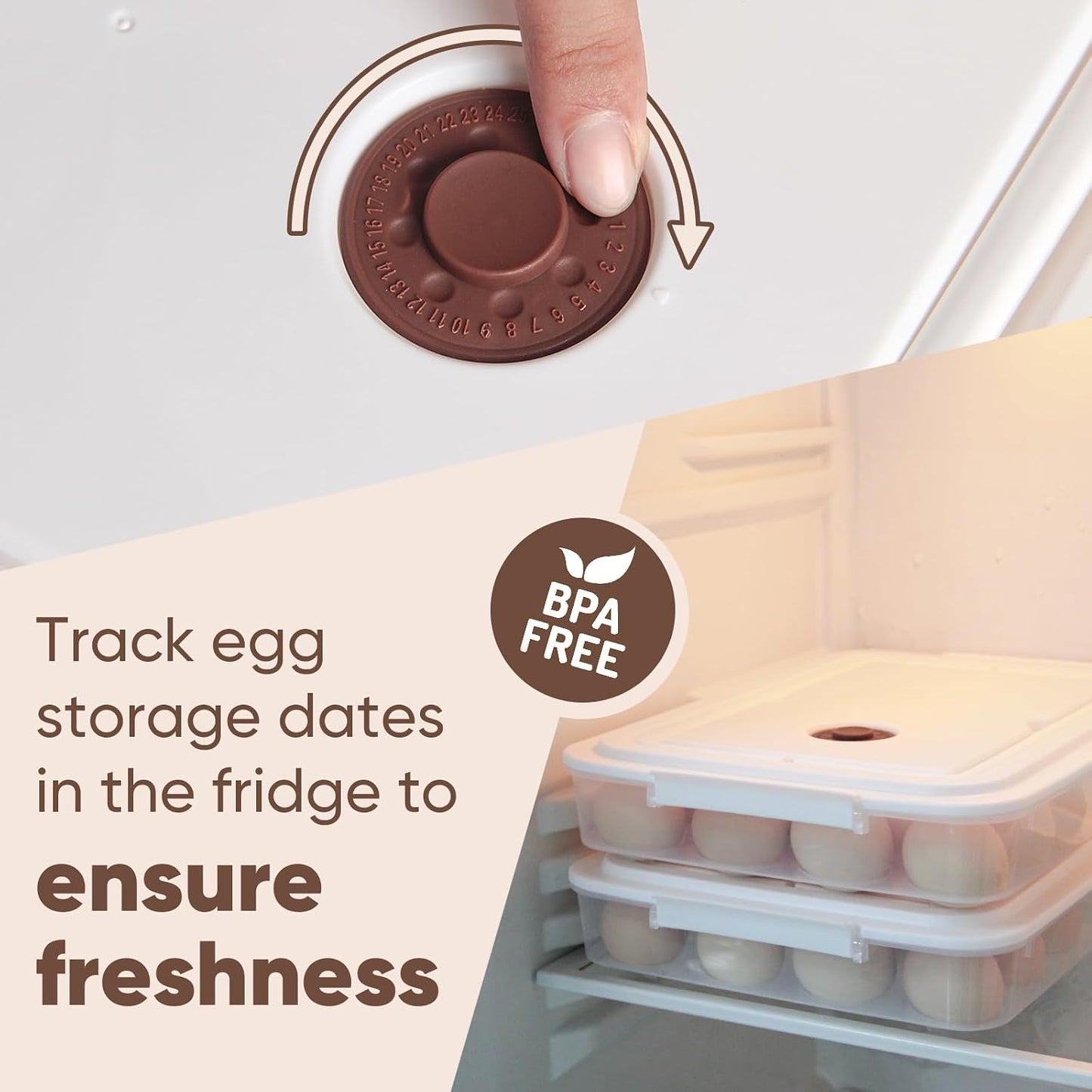 77L Deviled Egg Containers with Lid, (Set of 2), Plastic Deviled Egg Carrier with Handle for 48 Eggs, Clear Storage Devil Egg Platter, Fridge Portable Egg Tray (White)