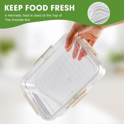 Divided Serving Tray with Lid and Handle, Snackle Box Container mit 4 Compartments Clear Serving Platters and Trays,Snack Platters for Veggie Fruits Snacks Nuts, for Picnic Party Travel