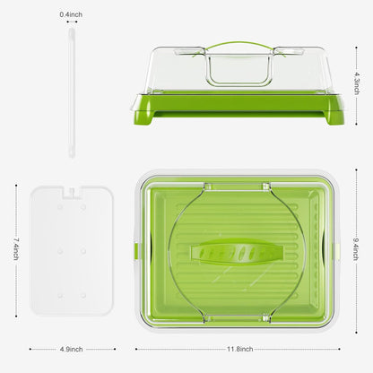 Chilled Portable Serving Tray Platterbox with Reusable Ice Pack with Lid Shrimp Cocktail Serving Dish Platter Cold Food Buffet Server for Appetizer Veggie Fruit Food Parties Outdoor Picnic, Green