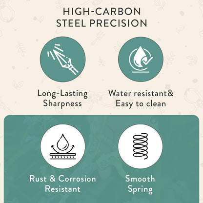 Modern Sprout Pruning Shears - Garden Snips - Herb Scissors - Sage 1-Pack