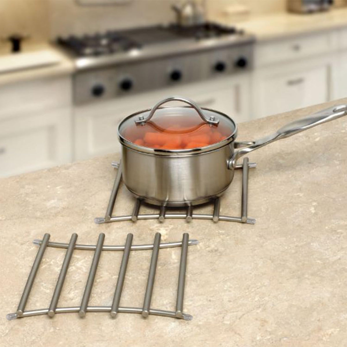 FitWell Heat-Resistant Steel Dining Protector Modern Metal Trivet for Kitchen Table, Holds Hot Pots & Cast Iron Cookware, Trivet for Serving and Organization of Hot Dishes in Kitchen (Satin Nickel)