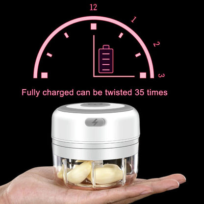 Electric Mini Garlic Mincer, 100ML USB Vegetable Onion Chopper